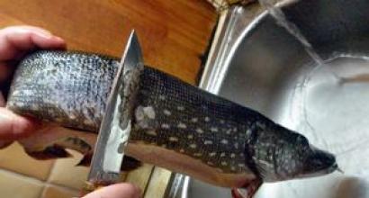 How to clean a pike: step-by-step instructions