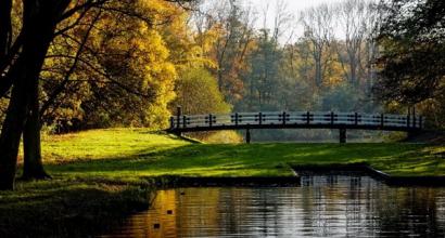 Amsterdam Parks - Where to Relax in the City Park in Holland where everything is possible