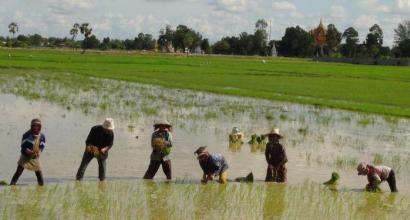 តើ​ពេលណា​ជា​ពេលវេលា​ល្អ​បំផុត​ដើម្បី​ទៅ​កម្សាន្ត​នៅ​ប្រទេស​កម្ពុជា ញ៉ាំ​អាហារ​នៅ​ខេត្ត​ព្រះសីហនុ​នៅពេលណា​?