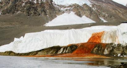 Cascata insanguinata fatta di microrganismi in Antartide Cascata insanguinata in Antartide