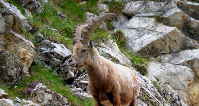 Nature reserves and parks in France What nature reserves and national parks are in France