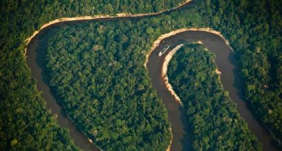 Gigant amazon baliqlari nomi