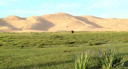 Africa uncovers living millennia of green Sahara Excavations in the Sahara Desert