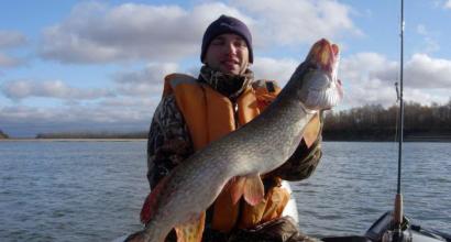 Successful pike fishing in November for spinning