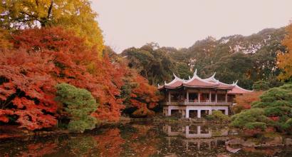 I luoghi più interessanti e indimenticabili di tokyo 10 luoghi da visitare a tokyo