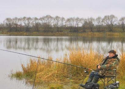 Pesca de carpa cruciana en otoño