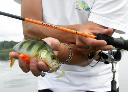 Pescar percas con caña giratoria: desde elegir cebos hasta experimentar con la pesca