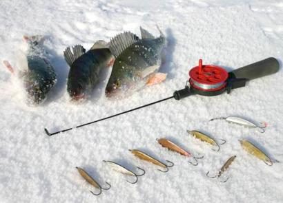 Pesca de perca en invierno con cucharas y barras de equilibrio.